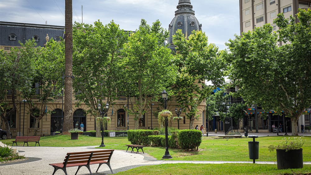 Viaje de 1 día: Pergamino, Pergamino, Buenos Aires